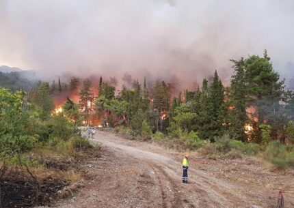 Poco prima delle 15 di oggi 22 agosto sono scoppiati alcuni incendi nella zona di Colle Sapone, a L'Aquila. Intervenuti i Vigili del Fuoco, che cercano di arginare le fiamme.