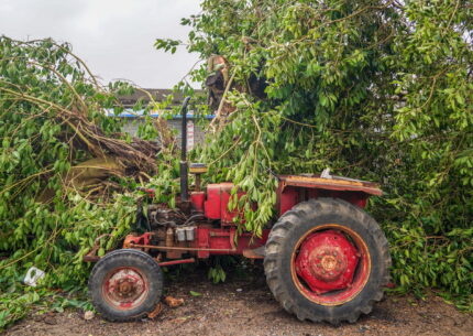 A Subiaco, provincia di Roma, un agricoltore è morto per essere rimasto incastrato in una fresa dopo che il suo trattore si era ribaltato. Inutili i soccorsi per salvarlo.