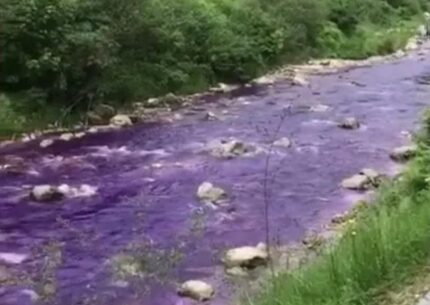 Perché l'acqua del torrente Lura è diventata viola