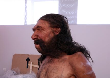 Covid val Seriana geni uomo Neanderthal
