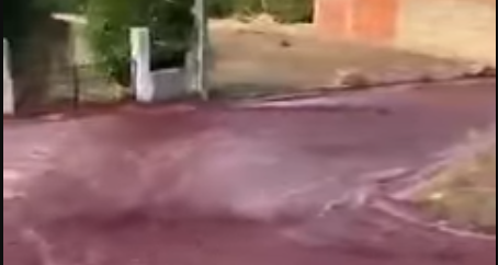 inondazione vino rosso portogallo
