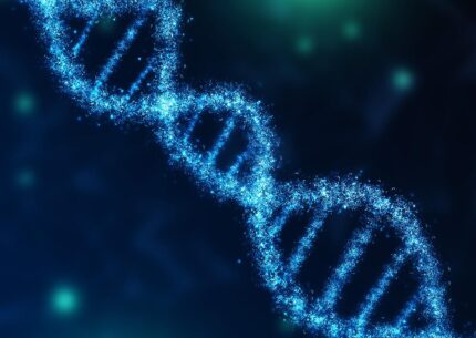 Cosa si scopre con l'analisi del DNA