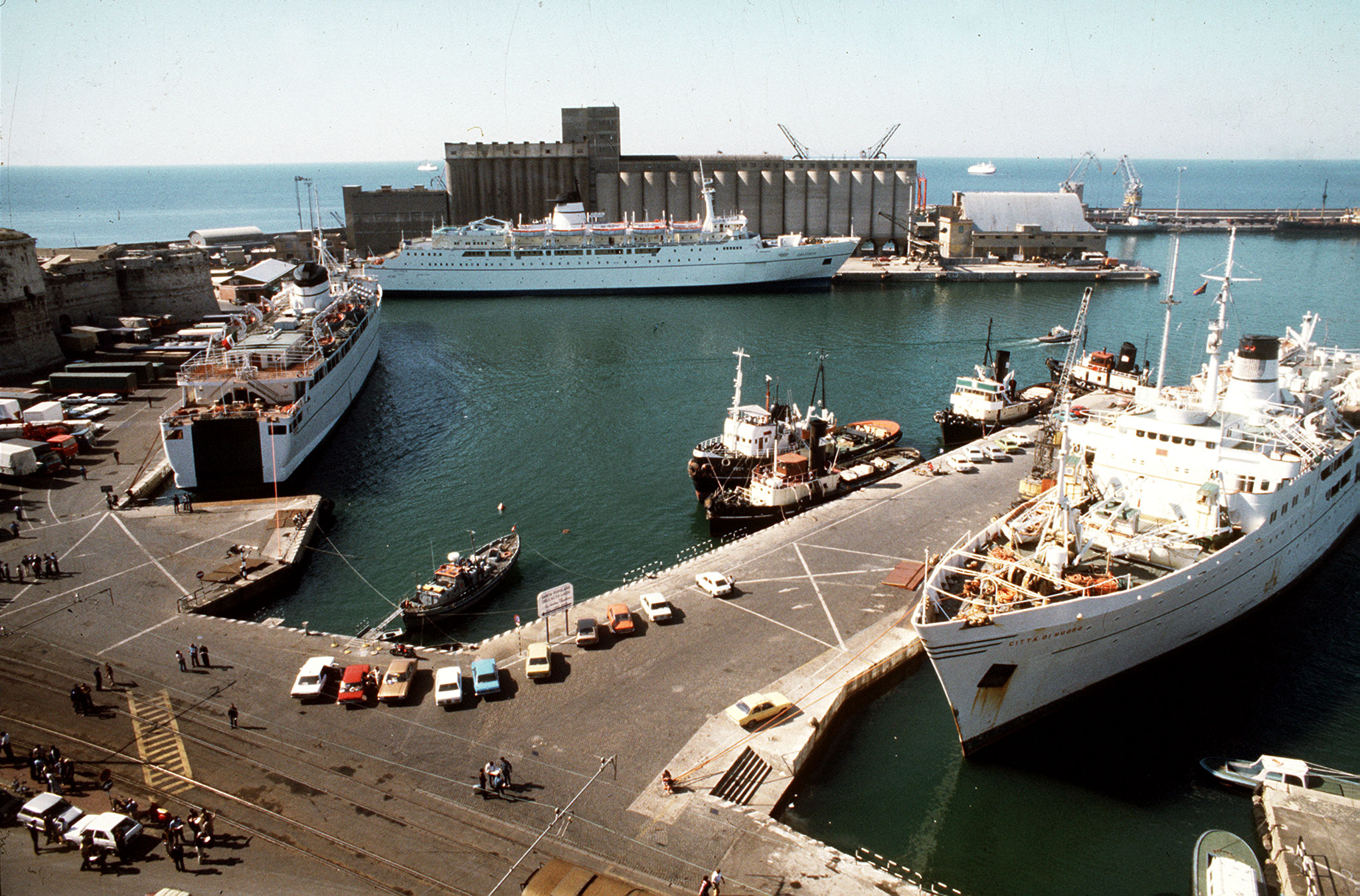 Concorso Comune di Civitavecchia requisiti e come fare domanda