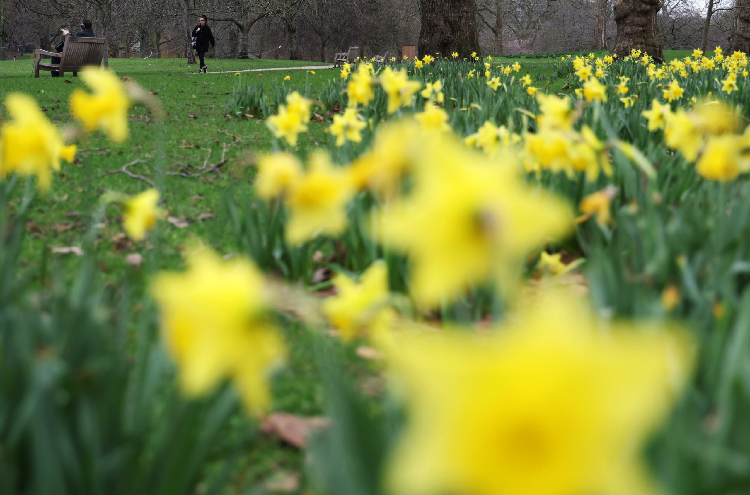 Quando inizia la primavera 2024? • TAG24