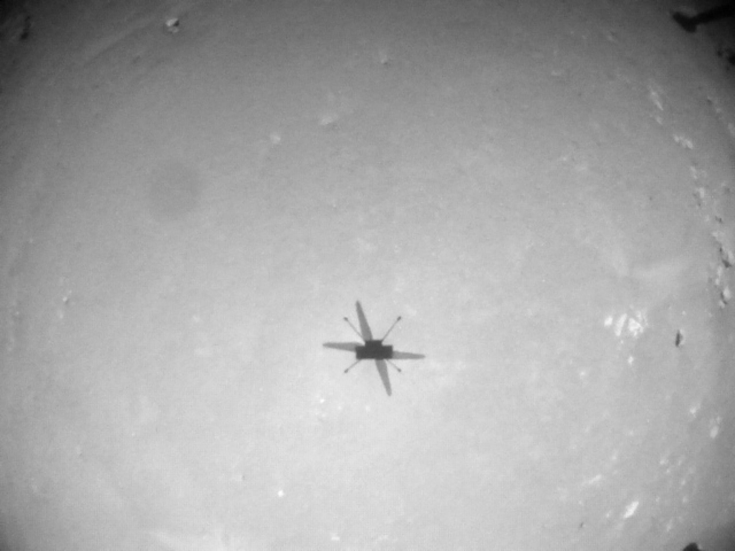 Una delle immagini di Ingenuity, il drone marziano costretto a fermarsi dopo tre anni